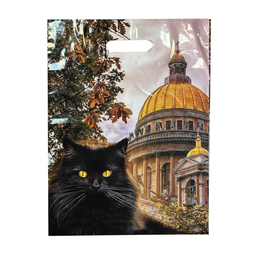 Пакет полиэтиленовый «Осенний Петербург», ПВД, 31×40 см
