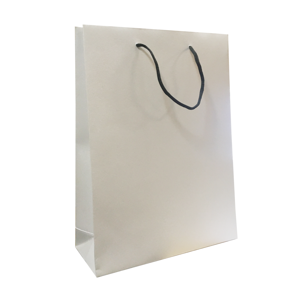 Пакет картонный белый с ручками, 25×8×38 см