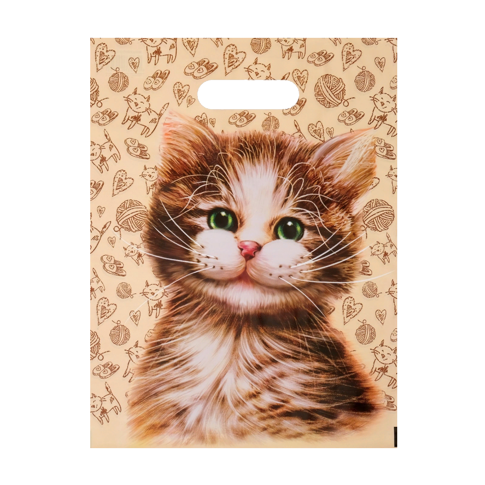 Пакет полиэтиленовый «Чеширский кот», ПВД, 31×40 см