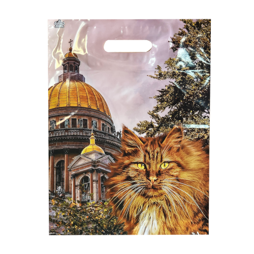 Пакет полиэтиленовый «Осенний Петербург», ПВД, 31×40 см