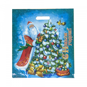 Пакет полиэтиленовый «Мороз Иванович», ПВД, 40×47 см 