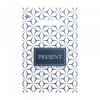 Пакеты с прорубной (вырубной) ручкой — цена за штуку 4.80 руб. Пакет полиэтиленовый «Презент стиль», ПВД, 20×30 см