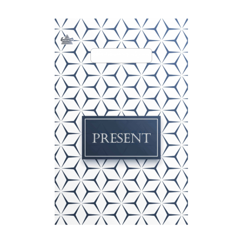 Пакет полиэтиленовый «Презент стиль», ПВД, 20×30 см