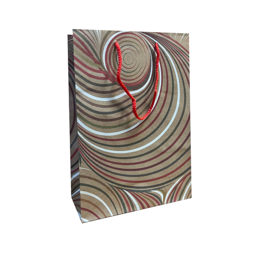 Пакет бумажный подарочный, MIX, 22×31×10 см