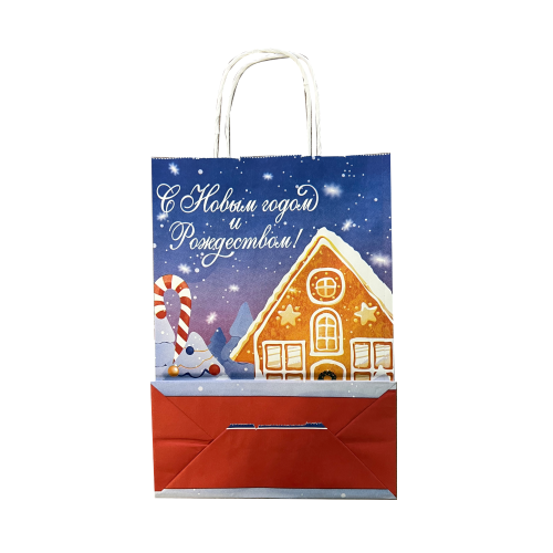 Пакет бумажный подарочный новогодний, 22×31×11 см