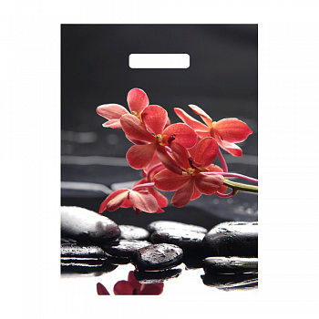 Пакеты с прорубной (вырубной) ручкой — цена за штуку 20.81 руб. Пакет полиэтиленовый «Гармония», ПВД, 31×40 см