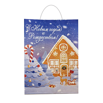 Пакет бумажный подарочный новогодний, 22×31×11 см