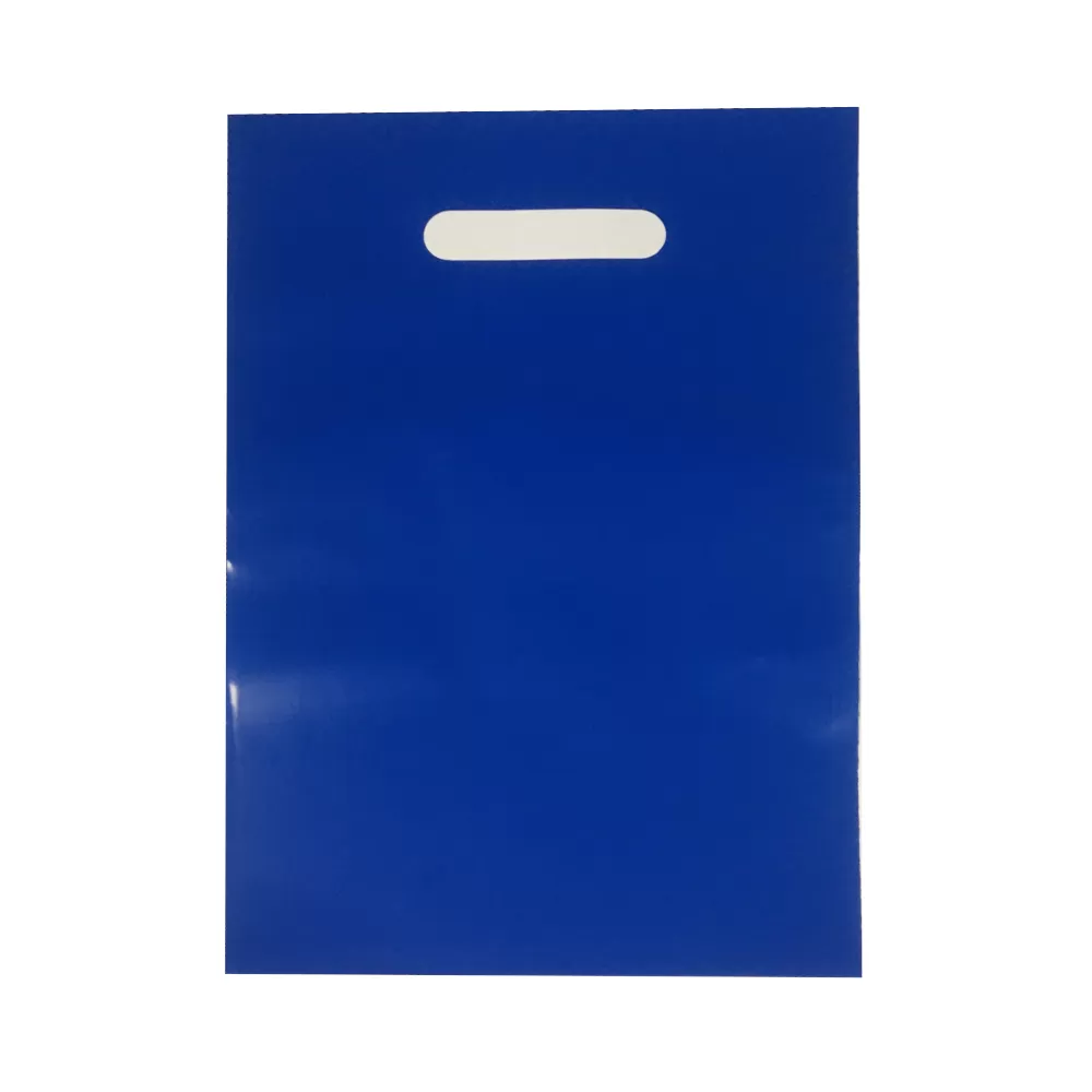 Пакет полиэтиленовый, ярко-синий, ПВД, 22×34 см
