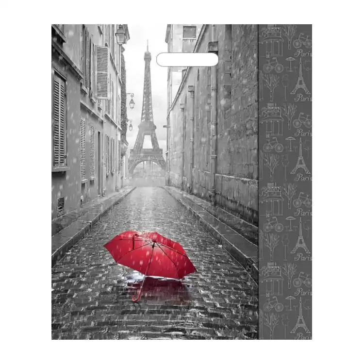 Пакет полиэтиленовый «Мой Париж», ПВД, 38×45 см
