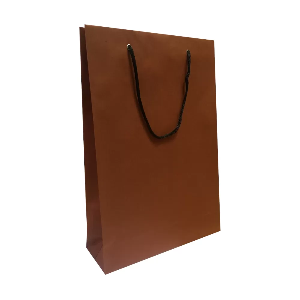 Пакет бумажный коричневый с верёвочными ручками, 24×8×35 см