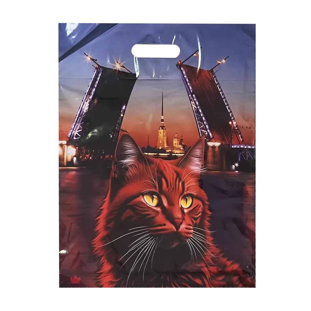 Пакет полиэтиленовый «Разводной мост», ПВД, 38×45 см