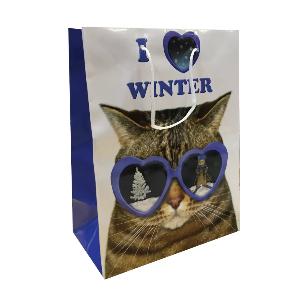 Пакет бумажный подарочный новогодний «I ♥ Winter», 18×24×10 см